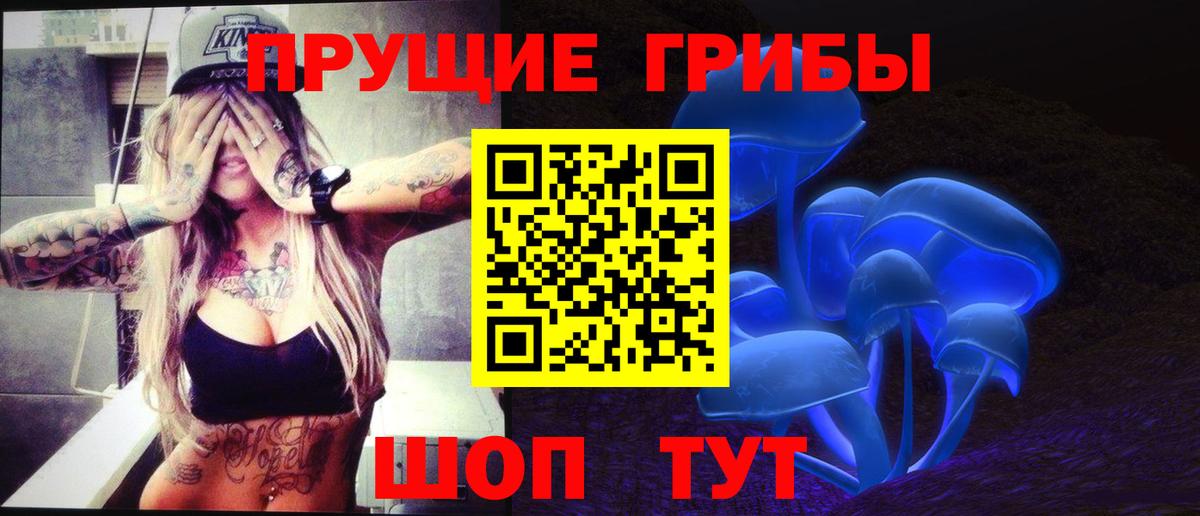 Псилоцибиновые грибы Cubensis  Вход с VPN  где купить наркоту  Киселёвск 